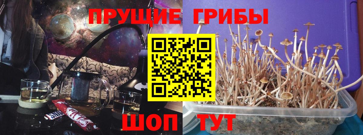 Саратов  Галлюциногенные грибы ЛСД  Вход с VPN 