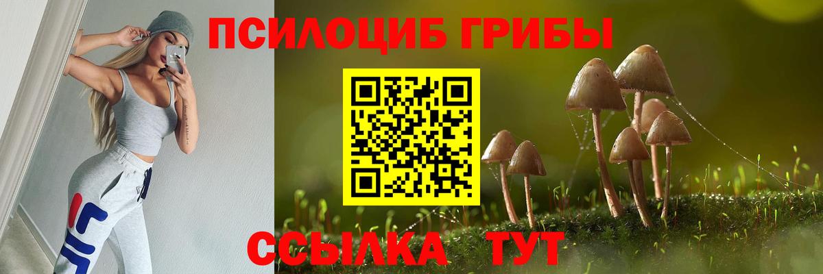 Псилоцибиновые грибы мухоморы Саратов